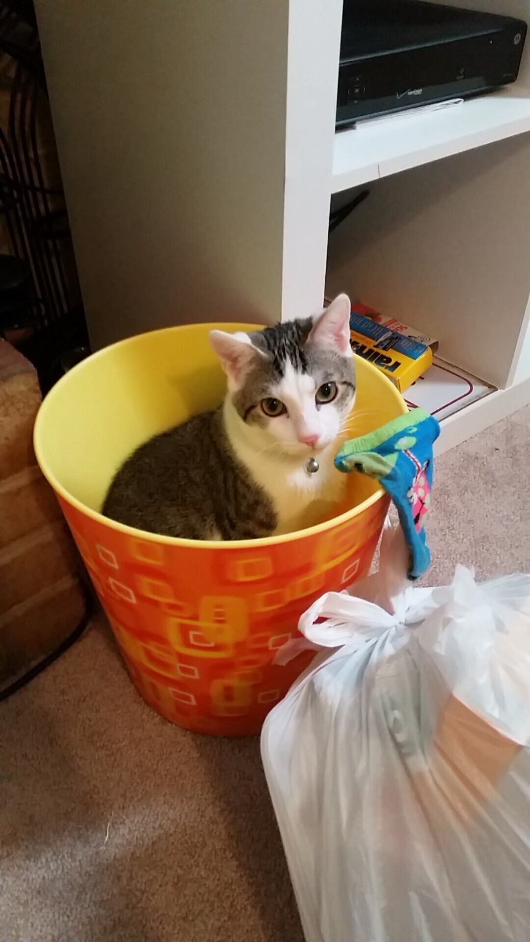 kaiyun网站-球迷最期待：不可错过的本周大战赛事，本周足球赛预告