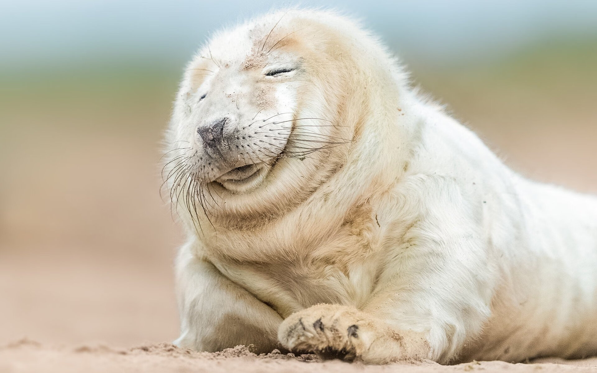 高校运动训练效果科学评估方法,高校运动项目的训练设置