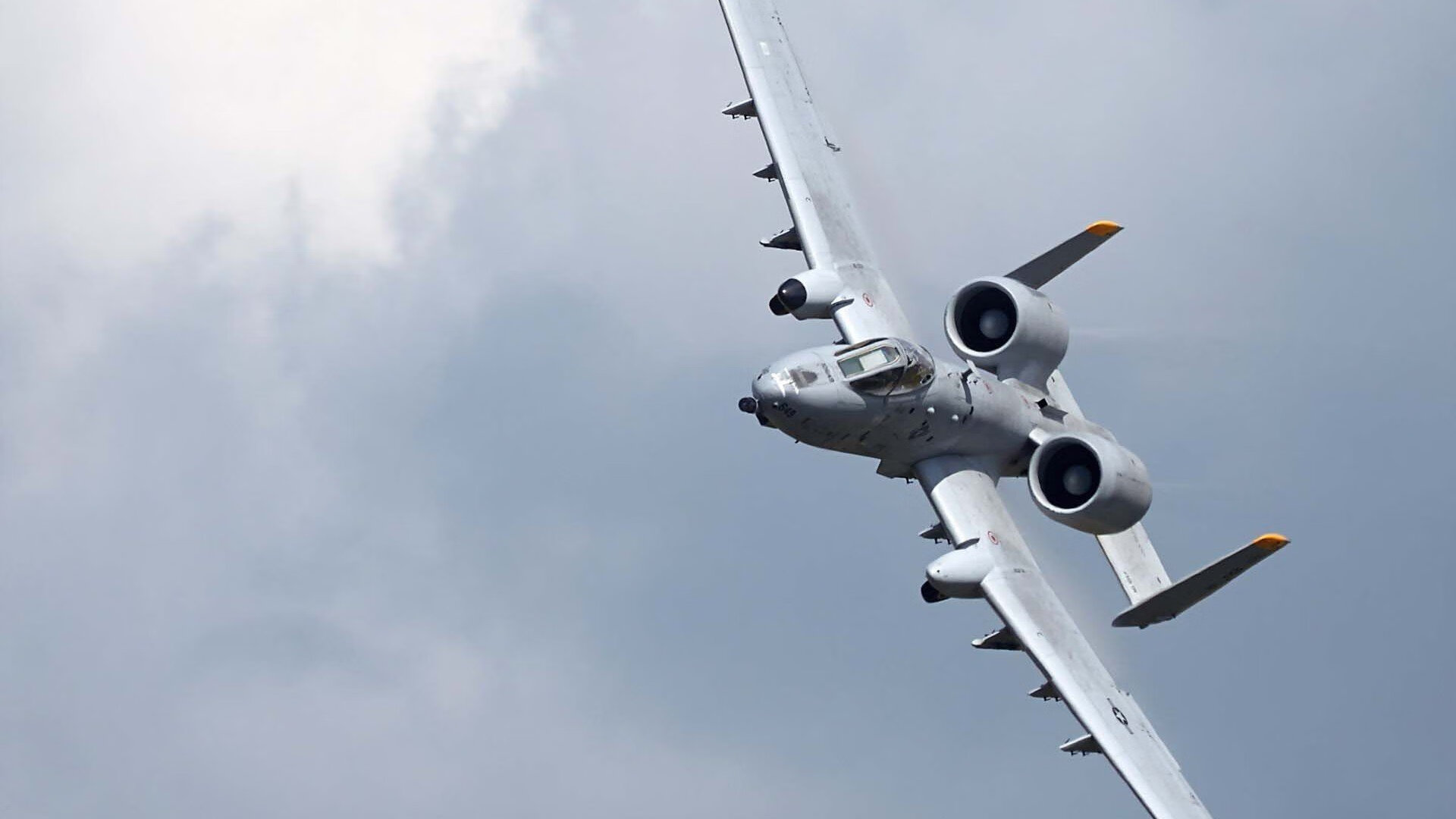 “四川省体育馆：自由搏击赛事，选手们展开血脉喷张的极限对抗！”