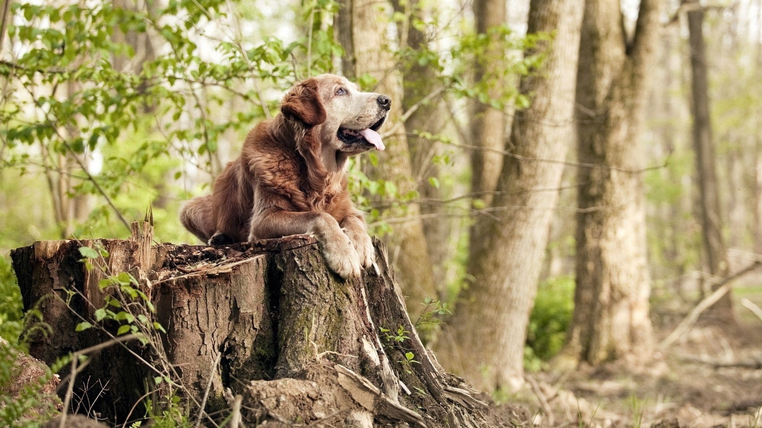 开云esport-亚洲杯中国足球逆袭 球迷热情不减，足球亚洲杯中国队战绩
