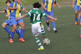 开云全站-体育纪录片内容更加丰富，体育纪录片主题