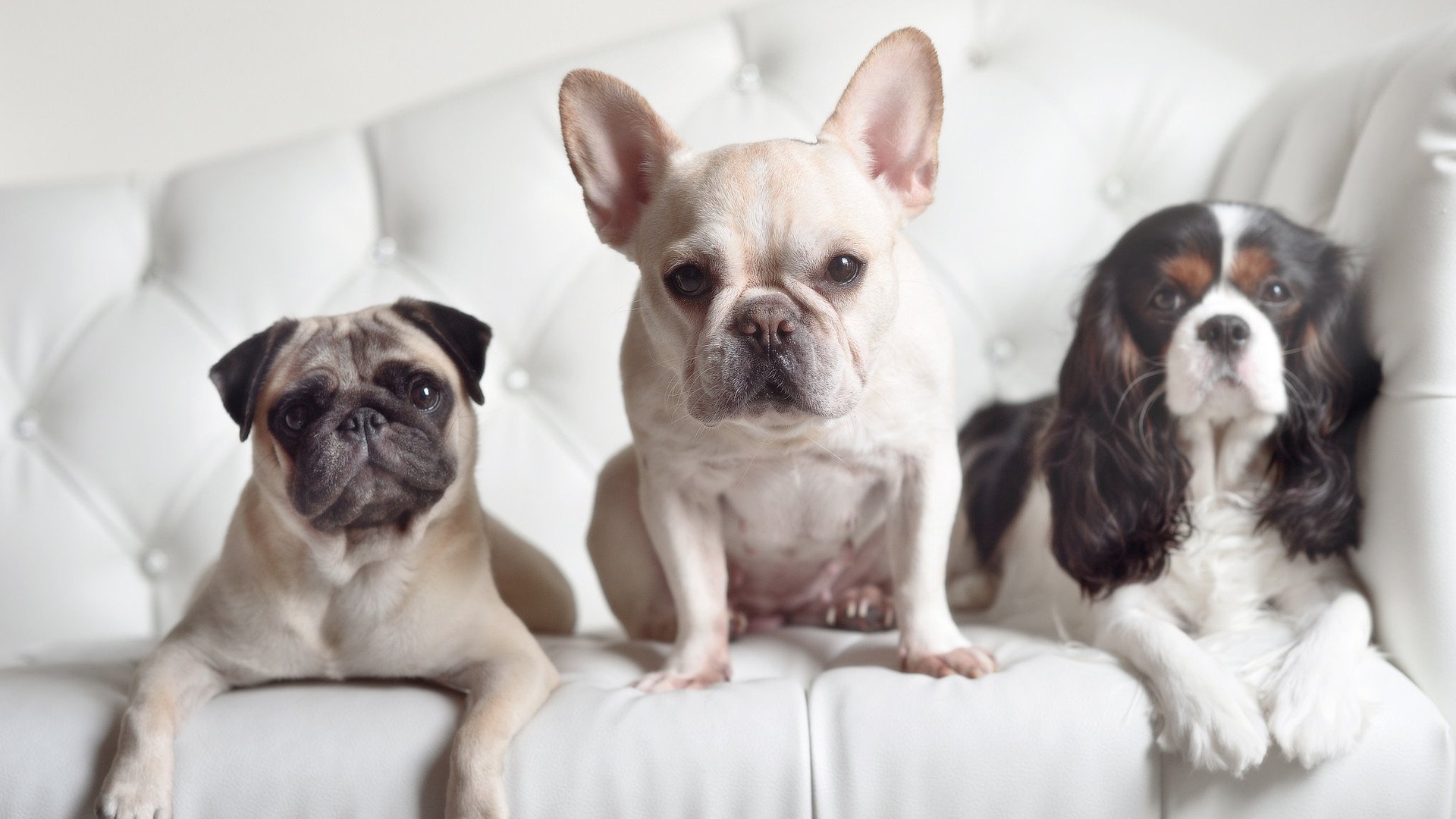 开云电竞-国际热身赛中国青年队爆冷 球迷热议教练战术，中国国家队 热身赛